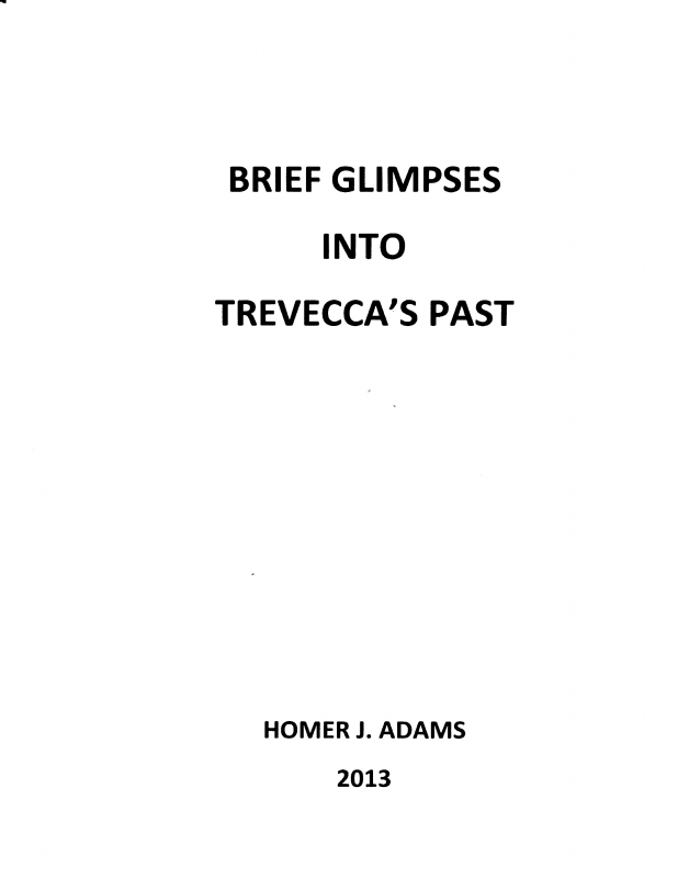 Brief Glimpses into Trevecca's Past